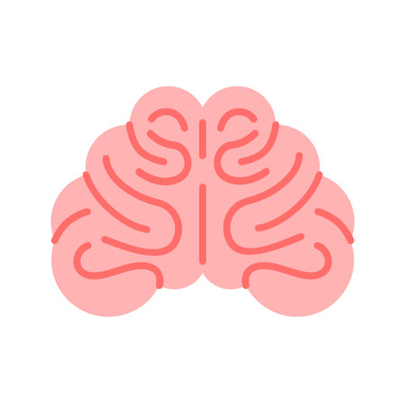 Human brain organ icon vector illustration design, mind flat icon design, front viewのイラスト素材