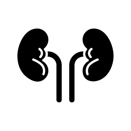 Kidneys icon design in black silhouette style, kidney internal organ vector illustrationのイラスト素材