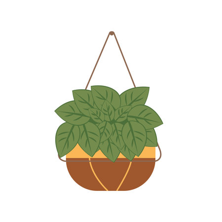 Hanging house plant vector illustation design template elementsのイラスト素材