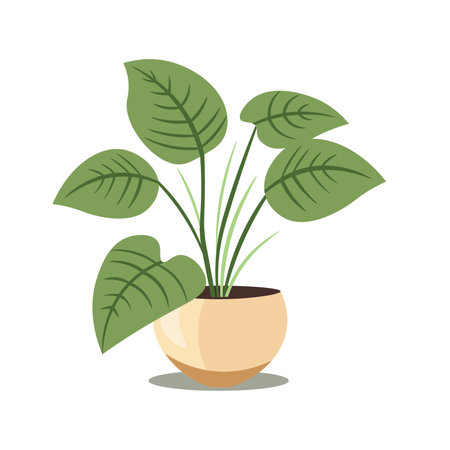 House plant flat icon vector illustration, isolated on white background, cartoon potted plantsのイラスト素材