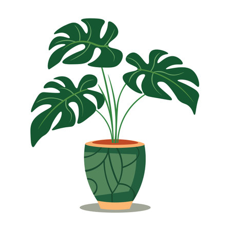 Monstera in a pot, home plant vector illustrationのイラスト素材