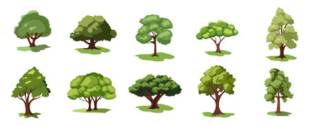 Tropical trees vector illustration set, cartoon tree plant collectionのイラスト素材