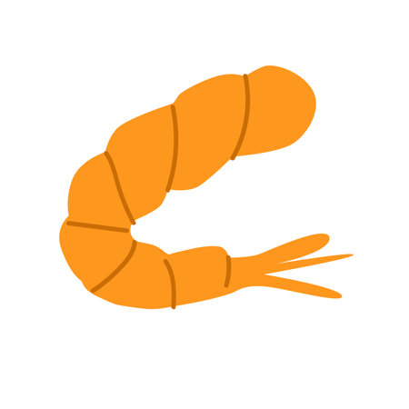 Cooked prawns vector illustration, isolated on white backgroundのイラスト素材