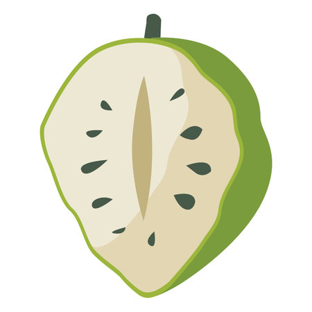 Soursop fruit or sirsak vector illustration isolated