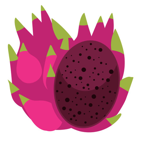 Red dragon fruit of buah naga merah, flat design vector illustation, whole and half slice, pitaya or pitahaya isolated on white backgroundのイラスト素材