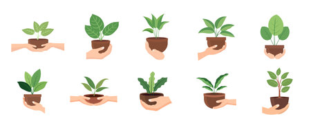 Hand holding plant vector illustration set, collection of hands carrying flower pot isolated on white background, hand carry plant pot image, hand bring potted plantのイラスト素材