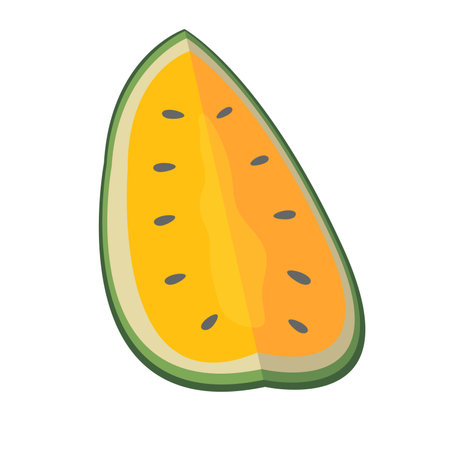 Sliced yellow watermelon vector illustration, hybrid yellow water melon, semangka kuning clip art, watermelon slice isolated on white backgroundのイラスト素材