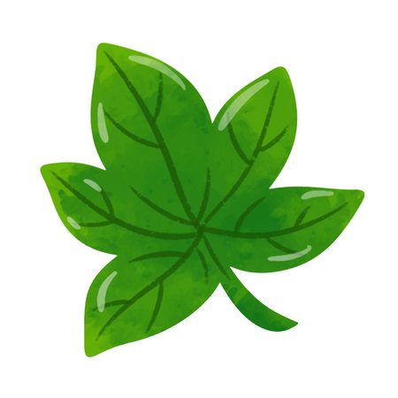Green leaf illustration vector, leaf clip art, clip art leaf, hand drawn watercolor styleのイラスト素材