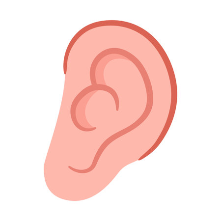 Ear icon in flat design style, vector illustration design elements, ear clip art, clip art ear, earlobe isolated on white backgroundのイラスト素材