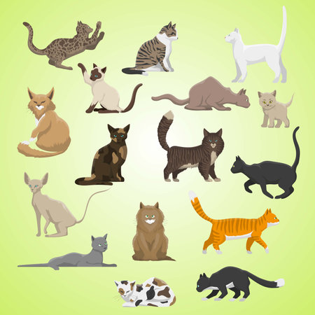Set of vector cartoon cats isolated on green background. Collection of different breeds of cats.のイラスト素材