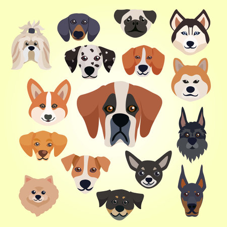Set of different dog breeds. Vector illustration in flat cartoon style.のイラスト素材