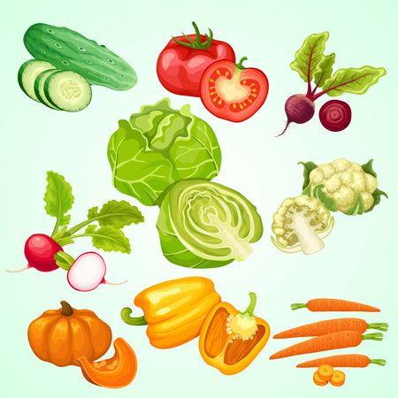 Vegetables vector set. Cucumber, tomato, pepper, radish, cucumber, cauliflower, turnip, cabbage, tomato, radish, cucumber, beetrootのイラスト素材