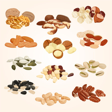 Vector set of different types of nuts: peanuts, pistachios, hazelnuts, cashews, walnuts.のイラスト素材