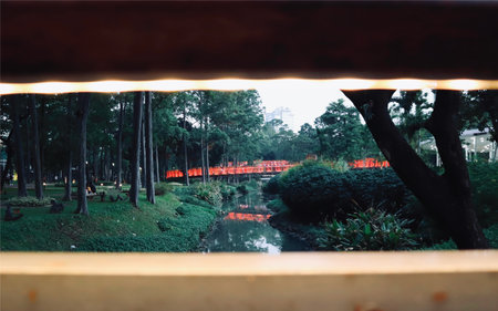 Garden is a gardenの写真素材