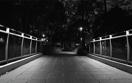 black and white photo of a pedestrian bridge in the park at nightの写真素材