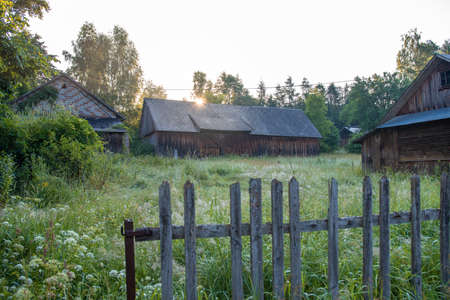Old, damaged, wooden agricultural buildings situated between green trees, on a meadow. Forest in the background, wooden fence in the foreground. KrasnobrÃ³d, Roztocze, Poland.の写真素材