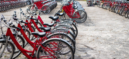 Red bicycles standing in a rows in a bike rentalのeditorial素材