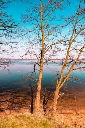 Leafless trees on early spring growing on the lake shore on beautiful, sunny day. Forest on the other side of the lake. Blue, cloudless sky and calm, tranquil water. Imielin, Silesia, Poland.の写真素材