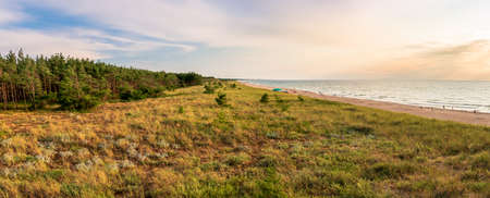 Beautiful Baltic Sea coastline in DarÅÃ³wko, Poland. Panoramic view at pine forest, sand dunes covered with grass, sandy beach and sea in the evening light.の写真素材