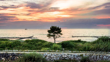Pine tree growing by the Baltic Sea coast. Bicycle road, grass and stones in the foreground. Colorful clouds illuminated by setting sun, tourist ship floating on the water surface in the background.の写真素材