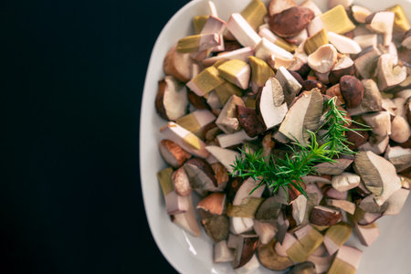 White plate full of chopped, fresh bay boletes and boletus, decorated with green twig. Dark gray background.の写真素材