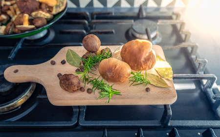 Cereals placed on a cutting board surrounded by spices, a board placed on a grate of a gas stove, modern home kitchenの写真素材