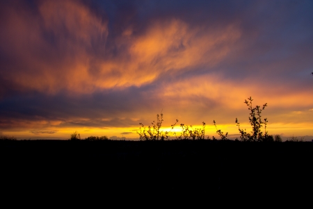 Night landscape in the meadowの写真素材