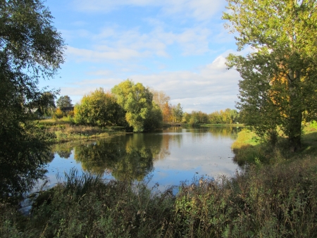 City pond in park among treesの写真素材