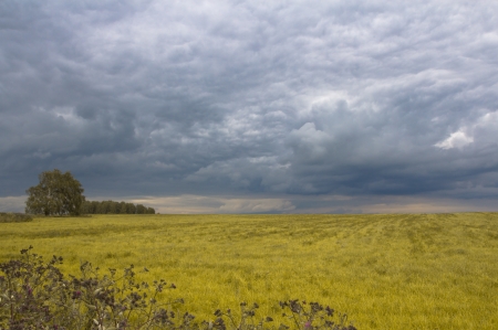 Russian countryside before a thunder-stormの写真素材