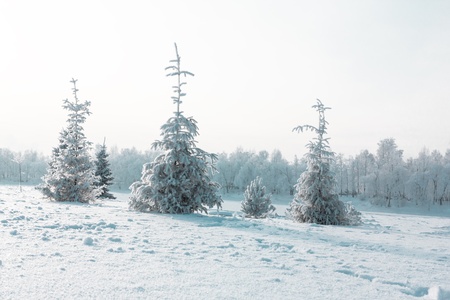 Icy winter embankment covered with snow. Russia, Yaroslavlの写真素材
