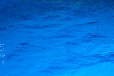 Texture of Sea water in the swimming pool, water for dolphinsの写真素材