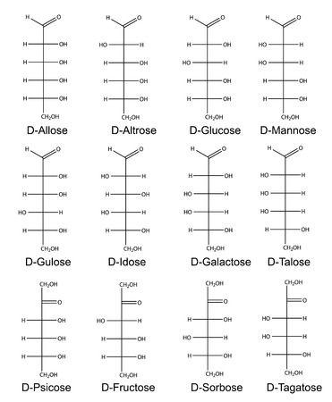 Acyclic basic structural formulas of monosaccharides  hexoses   2D Isolated illustrationのイラスト素材