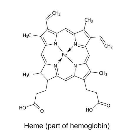 Structural chemical formula of  heme molecule, 2d illustration, vector, isolated on white backgroundのイラスト素材