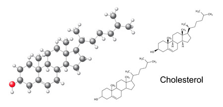 Structural chemical formulas and model of adrenaline cholesterol  cholesterine のイラスト素材