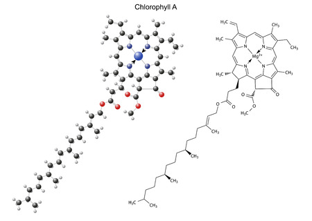 Structural chemical formula and model of chlorophyll A, 2d and 3d illustration, isolated on white backgroundのイラスト素材