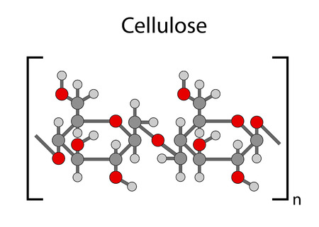 Structural chemical formula of cellulose polymer, 2d illustration, isolated on whiteのイラスト素材