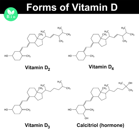 Forms of vitamin D - cholecalciferol, ergocalciferol, dihydrotachysterol, calcitriol, molecular formulas, 2d vector, eps 8のイラスト素材