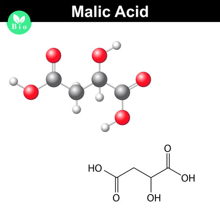 Vector of Malic acid molecule, malate, - ID:1-47310874 - Royalty Free ...