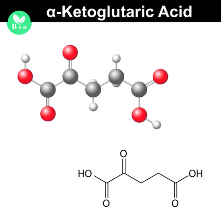 Vector of alpha-Ketoglutaric acid - ID:52539025 - Royalty Free Image ...