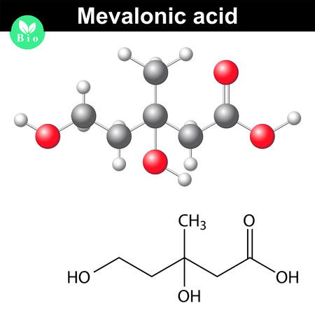 Mevalonic acid molecule - chemical model and molecular formula, 3d lab illustration, vectorのイラスト素材