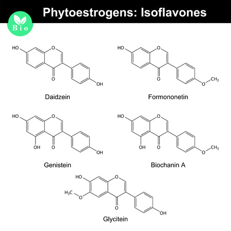 Phytoestrogens of isoflavone group, chemical formulas and molecular structures, 2d chemical vector.のイラスト素材