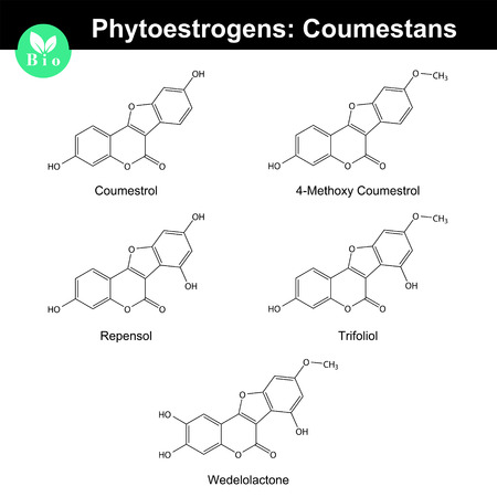 Phytoestrogens of coumestane group, chemical formulas and molecular models, 2d chemical vector.のイラスト素材