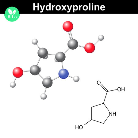 Hydroxyproline non essential heterocyclic amino acid, main collagen compound, 2d and 3d vector illustration, isolated on white backgroundのイラスト素材