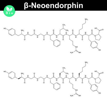 Beta neoendorphin chemical structure, endogenous morphine compound, 2d chemical vector icon, isolated on white backgroundのイラスト素材