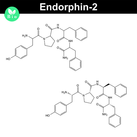 Human endomorphin 2 chemical structure, endogenous opioid peptide, 2d chemical vector icon, isolated on white background, eps 8のイラスト素材