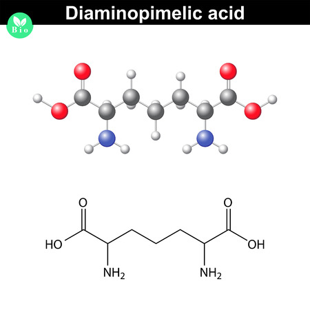 Vector of Diaminopimelic acid moelcular ID68357940 Royalty Free
