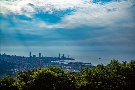 A picturesque view of a bustling city from a hilltop surrounded by treesの写真素材