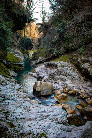 The Serene River Valley is beautifully located and surrounded by lush green foliage and treesの写真素材