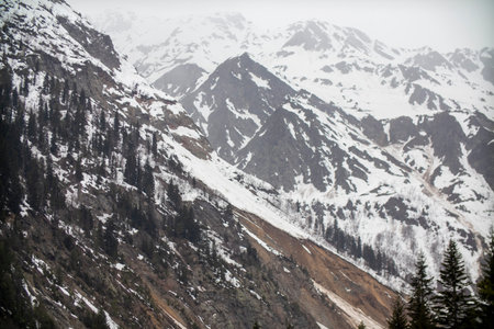 A beautiful snowy mountain entirely covered in trees on a cloudy dayの写真素材