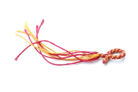 christian jesus fish - plaitedの写真素材